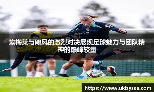 熊猫体育