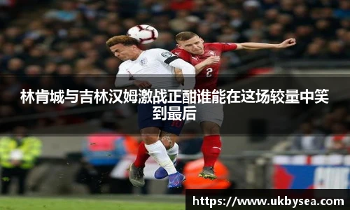 熊猫体育