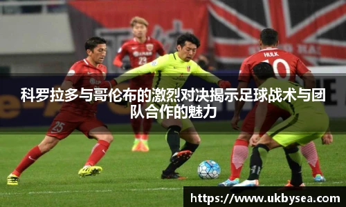 熊猫体育官网